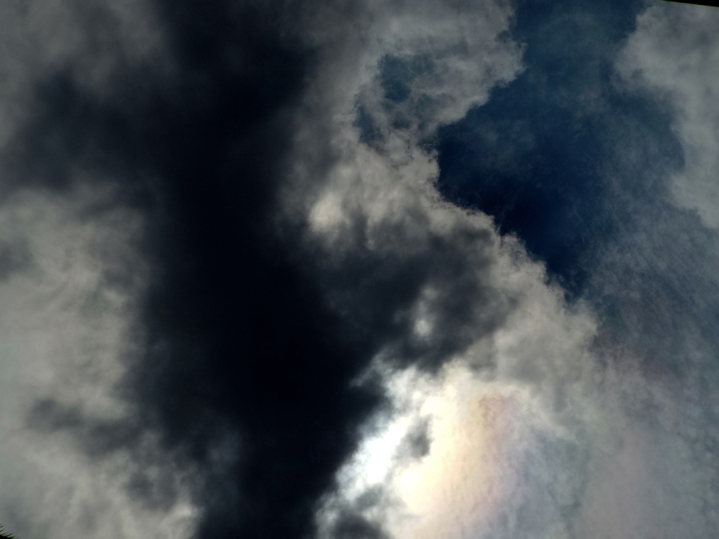 Bitcoin’s Momentum: A Dwindling Spark or Just a Pause Before the Storm?